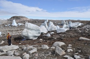 Nicolas Young Stranded icebergs dot the Tininnilik lake basin, West Greenland. 