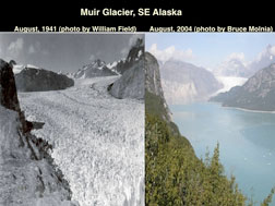 Lonnie Thompson/OHIO STATE  An Alaskan  lake melted from a glacier as global warming is melting glaciers across the globe. 