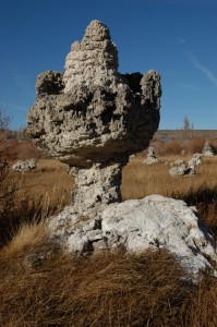 Photo by Scott Stine. Exposed tufa towers show where Mono Lake once reached. 