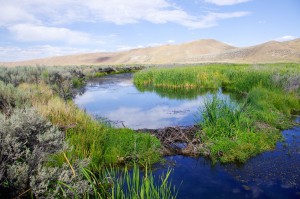 Taken from the same place as the 1980 photo of Maggie Creek, this 2011 image shows the stream's transformation. (Photo credit: BLM, Elko District)