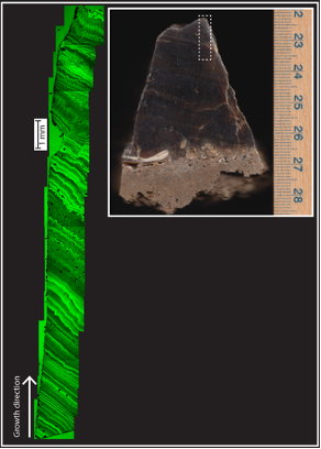 A small cross section of a sample found in a cave is highlighted and zoomed in on to reveal alternating bands of dark and light.